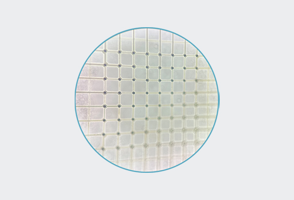 Mesh-MEA---Mullti-Channel-Systems-Harvard-Bioscience
