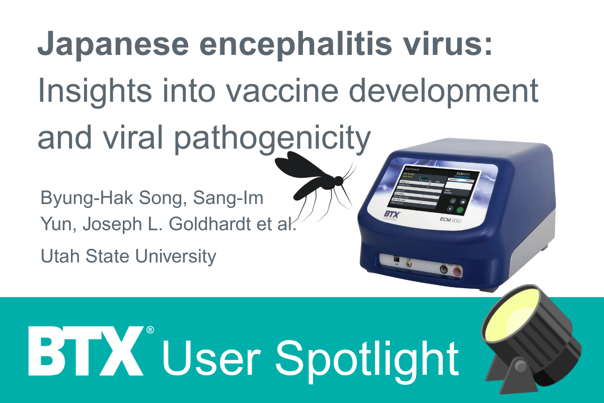 BTX User Spotlight: Unraveling Japanese encephalitis virus attenuation w/the BTX ECM 830