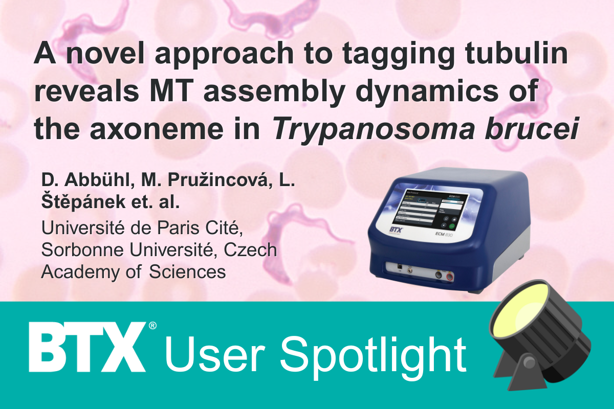 BTX User Spotlight: A novel approach to tagging tubulin reveals MT assembly dynamics of the axoneme in Trypanosoma brucei