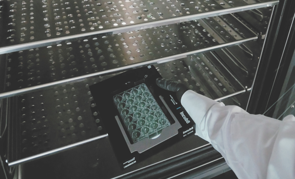 Incub8 multiwell MEA record from inside an incubator