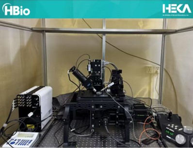 ElProScan electrophysiology and electrochemistry nano-imaging workstation