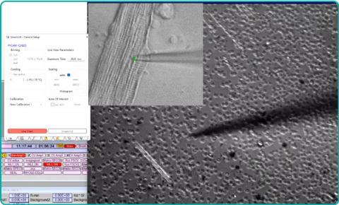 HEKA ElProScan optical photograph patch clamp micropipette tip