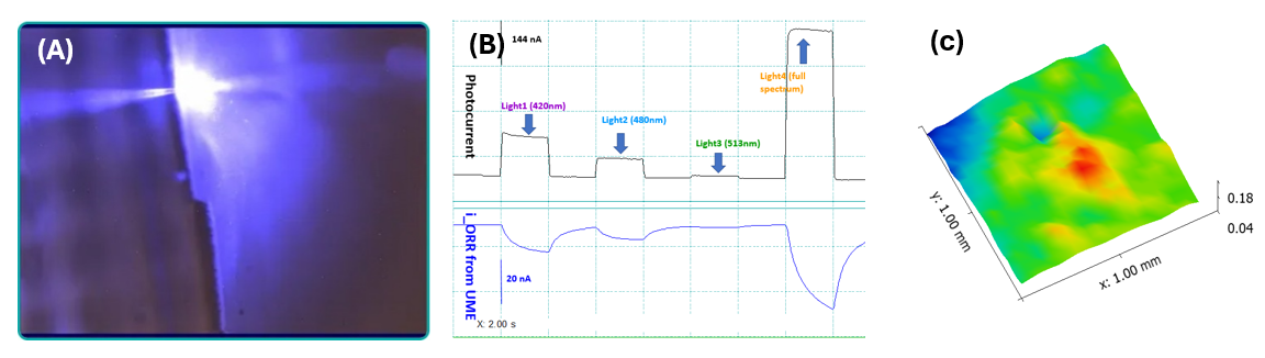 Photograph showing precise alignment of microelectrode