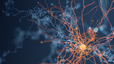 Neuroscience Application homepage
