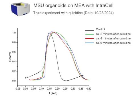 Graph of MSU organoids on MEA with IntraCell - 3rd experiment with quinidine