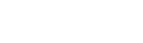multichannel systems