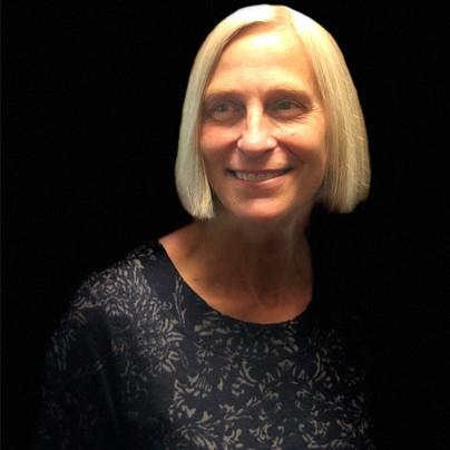 Diane Houston, VP IT at Harvard Bioscience