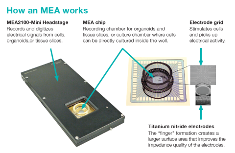 Graphic showing MEA system components & what is an MEA
