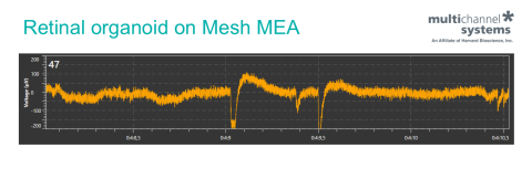 Retinal organoid data on Mesh MEA - spikes & field potentials - Johannes Kepler University - Multi Channel Systems | HBio