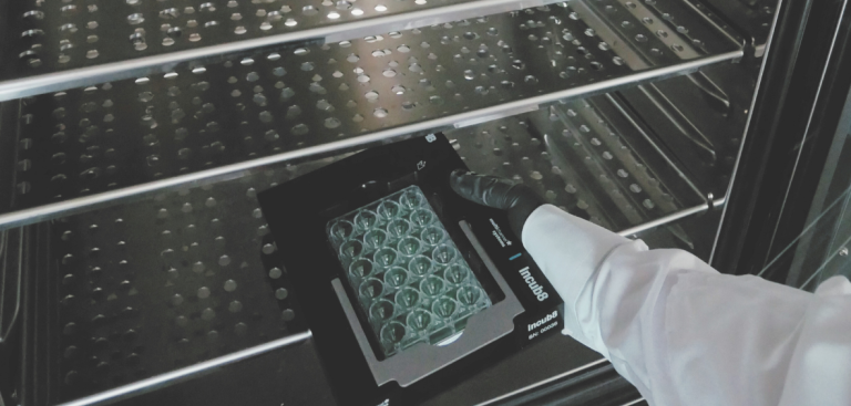 Incub8 multiwell MEA record from inside an incubator